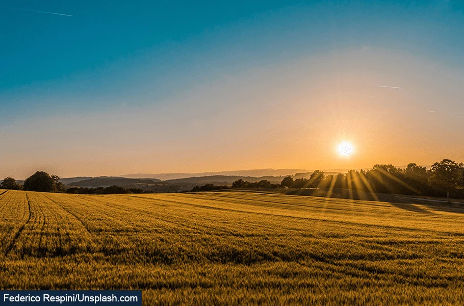 The Impact of Global Weather Events on UK Food Inflation: A Quantitative Study