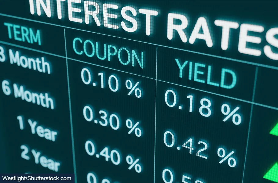 Understanding Yield Curve Dynamics: The Impact of Monetary Policy Shocks