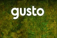 Gusto Transforms Gusto Pro Features and Enhances Partner Program to Elevate Accounting Services